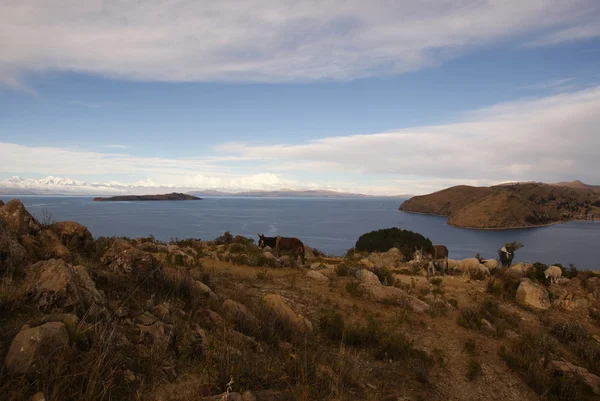 Isla del Sol, Lago Titicaca, Bolivia —  Fotos de Stock