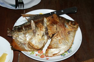 Piranha, Bolivya