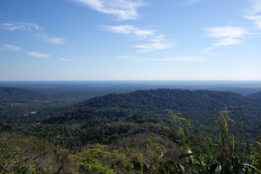 Orman, ixiamas, Bolivya