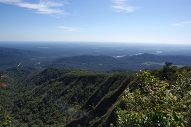 Orman, ixiamas, Bolivya