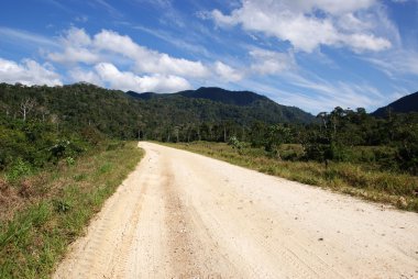 Bolivya'daki yol