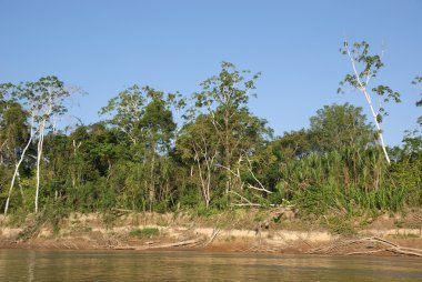 Beni nehir, rurrenabaque, Bolivya