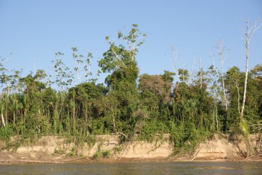 Beni nehir, rurrenabaque, Bolivya