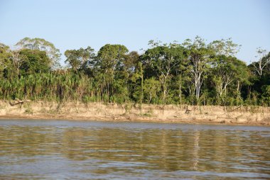 Beni nehir, rurrenabaque, Bolivya