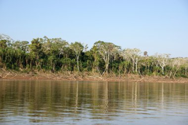 Beni nehir, rurrenabaque, Bolivya