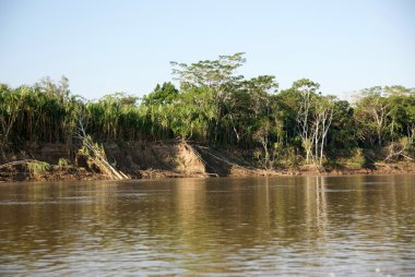 Beni nehir, rurrenabaque, Bolivya