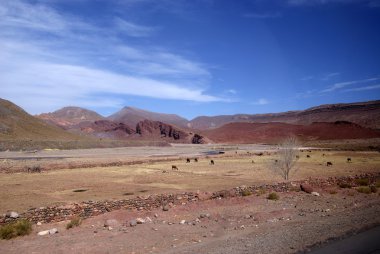 çöl, uyuni, Bolivya