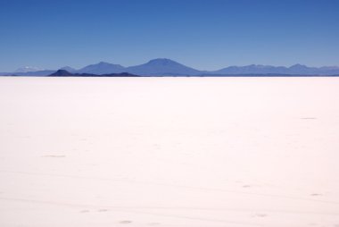 Isla del pescado, salar de uyuni, Bolivya