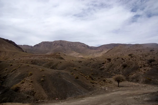 砂漠、ウユニ、ボリビア — ストック写真