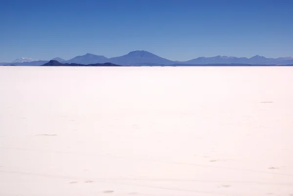 stock image Isla del Pescado, Salar de Uyuni, Bolivia