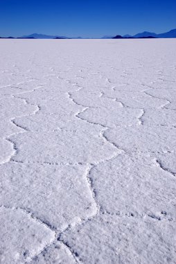 Salar de Uyuni, Bolivya