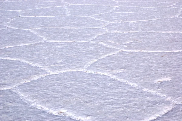 Salar de Uyuni, Bolivya