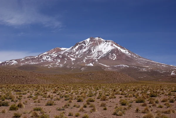 Reserva Nacional Eduardo Avaroa Fauna Andina, Bolívia — Fotografia de Stock