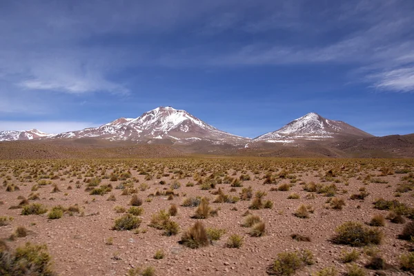 Reserva Nacional Fauna Andina Eduardo Avaroa, Bolivia —  Fotos de Stock