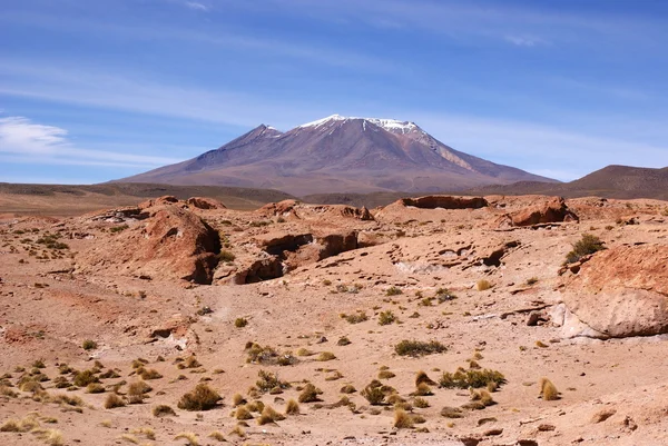 Eduardo avaroa Andok fauna nemzeti tartalék, Bolívia — Stock Fotó