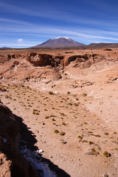 エドゥアルド アバロア アンデス相国立保護区ボリビア — ストック写真