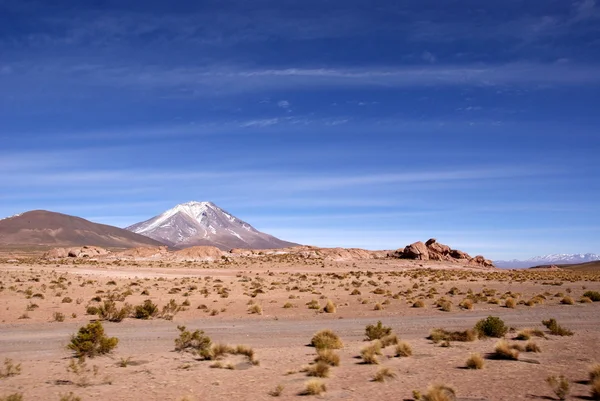 Avaroa Eduardo Andyjskiej fauny krajowej rezerwy, Boliwia — Zdjęcie stockowe