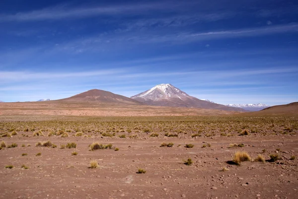 Eduardo avaroa andské fauny národní rezervy, Bolívie — Stock fotografie
