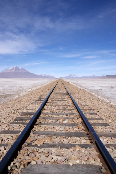 stock image Eduardo Avaroa Andean Fauna National Reserve, Bolivia