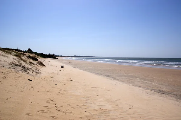 Atlantic coastline, La Paloma, Uruguay — Stock Photo, Image