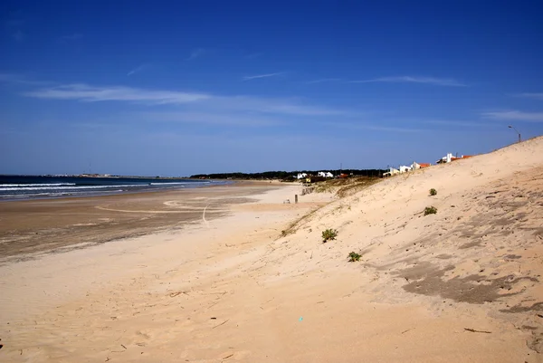 Атлантическое побережье, Ла Палома, Уругвай — стоковое фото