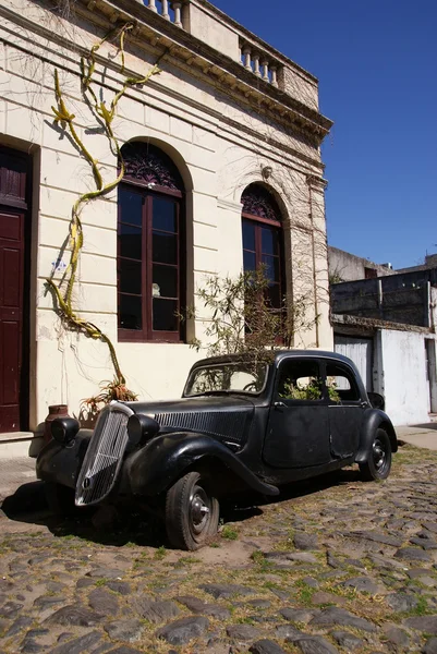 Вазон, колонія-дель-Сакраменто, Уругвай — стокове фото
