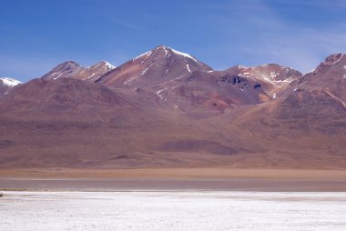 Laguna celeste, flamingolar, Bolivya