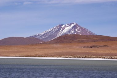 Laguna celeste, flamingolar, Bolivya