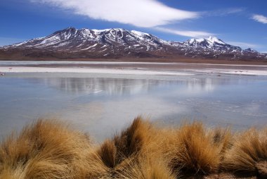 Laguna celeste, flamingolar, Bolivya