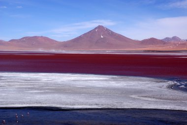 Laguna colorado, Bolivya