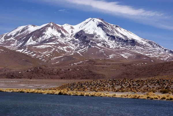 Laguna celeste, plameňáci, Bolívie — Stock fotografie