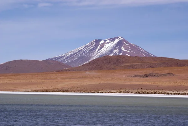 Laguna celeste, Flamingos, Bolivia — Stock Photo, Image