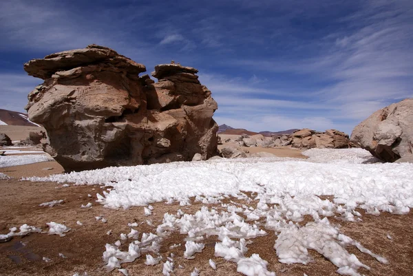 Pustyni, Boliwia — Zdjęcie stockowe