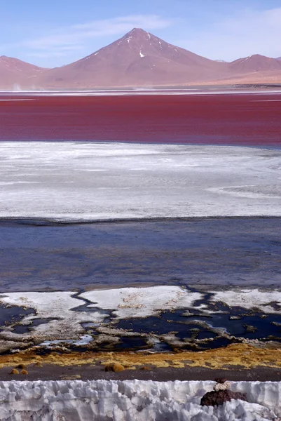 Laguna Colorada, Bolívie — Stock fotografie