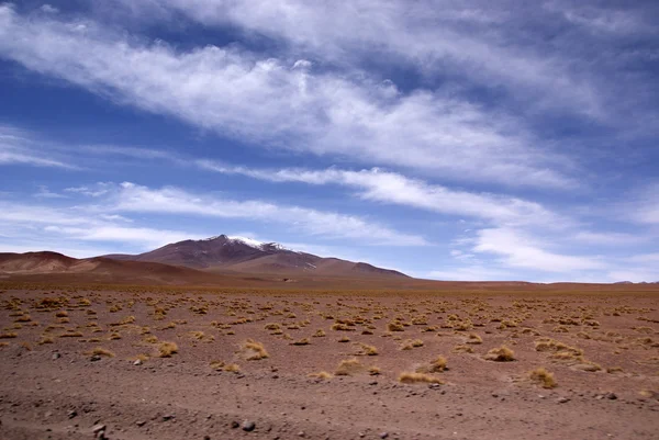 Eduardo avaroa πανίδα των Άνδεων εθνικό αποθεματικό, Βολιβία — Φωτογραφία Αρχείου