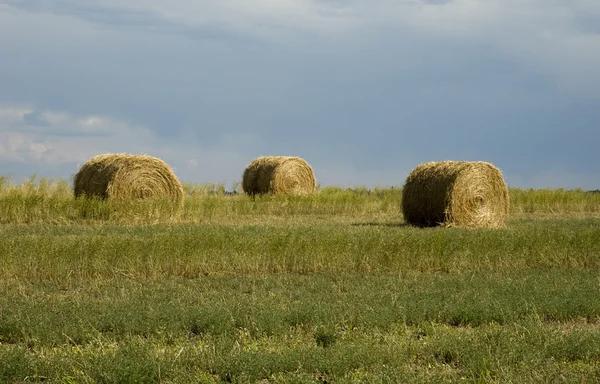 W\yoming 牧場の干し草 — ストック写真