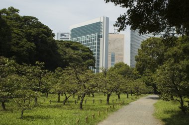 Tokyo'da parkı