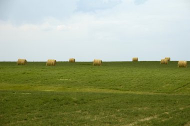 Wyoming Landscpe