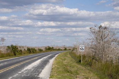 everglades üzerinden yol