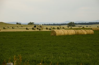 Wyoming manzara