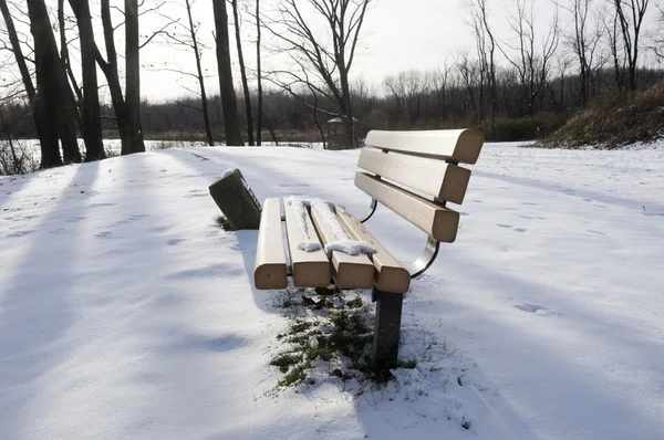 Скамейка в снегу — стоковое фото
