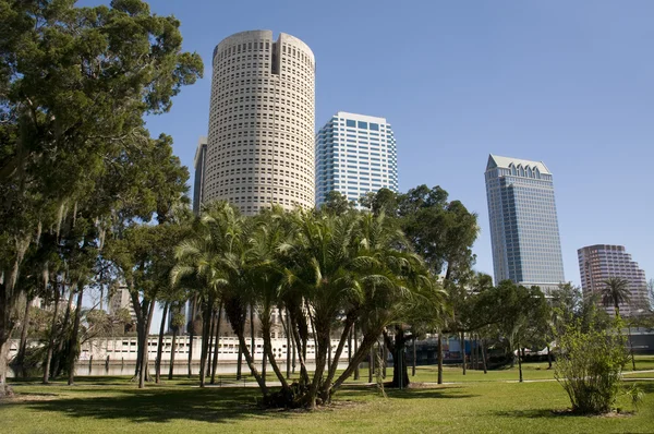 Skyline della baia di Tampa — Foto Stock