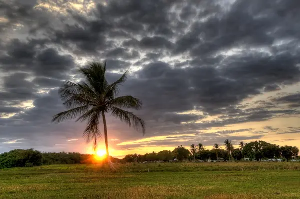 Pôr do sol nos Everglades — Fotografia de Stock