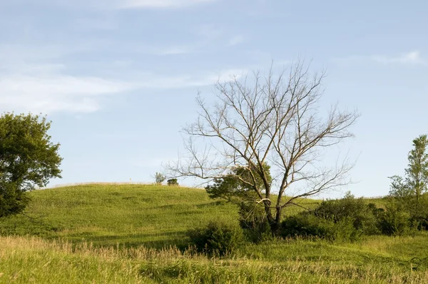 Пейзаж Айовы — стоковое фото