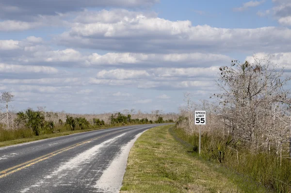 Estrada através dos Everglades — Fotografia de Stock