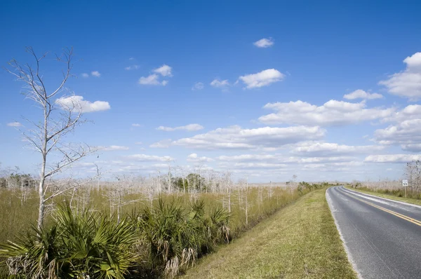 Estrada através de Everglades — Fotografia de Stock