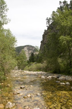 Spearfish Güney dakota