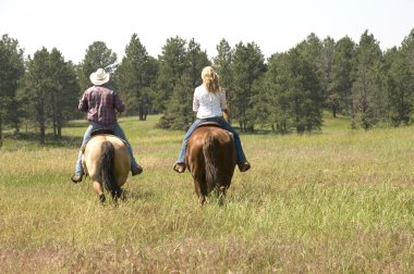 Binicilik horses Wyoming