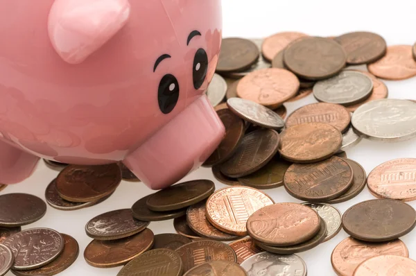Piggy bank ruiken munten — Stockfoto