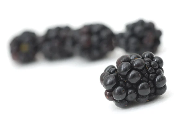 stock image Blackberries